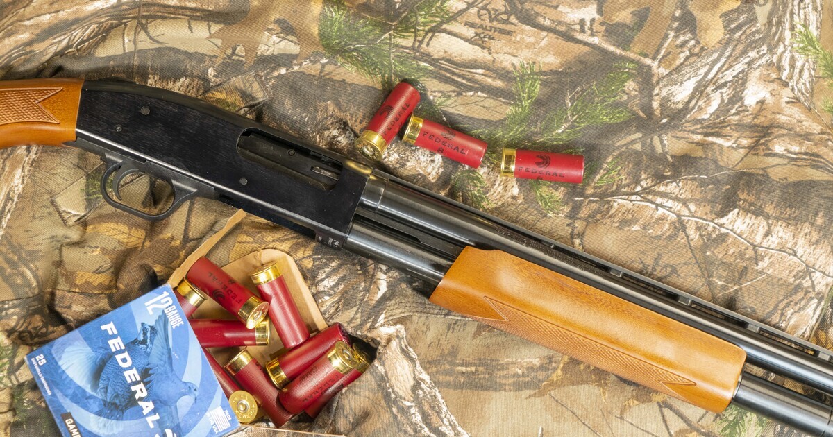 Mossberg_500_12Ga_Pump_PPeterson.jpg